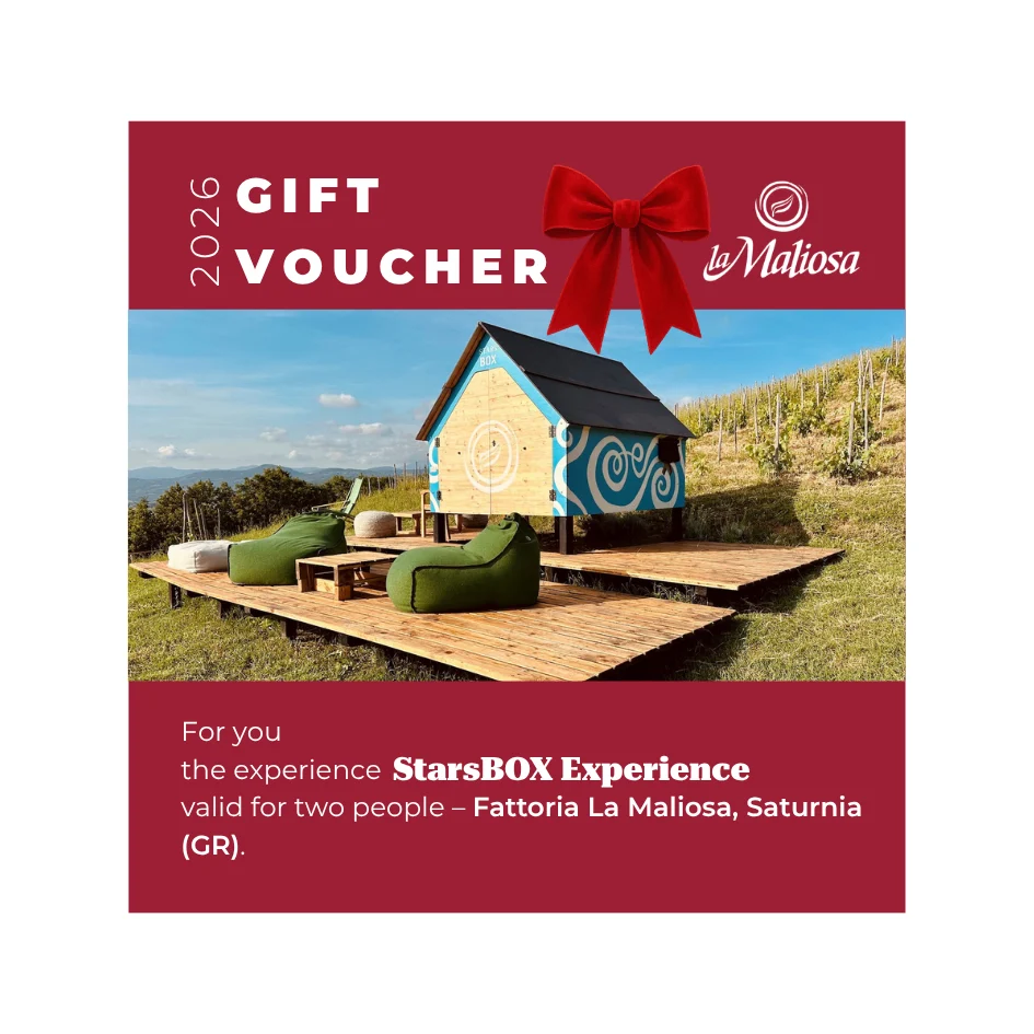 Voucher - StarsBOX Experience