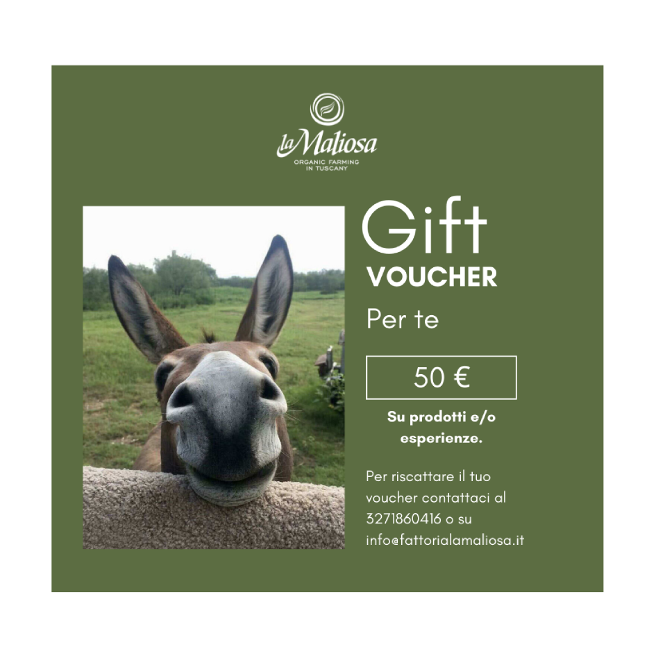 Gift Voucher - 50 €