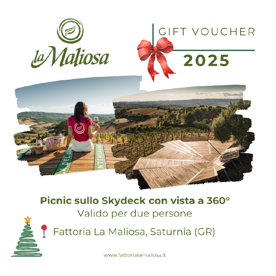 Voucher - Picnic sullo Skydeck al tramonto