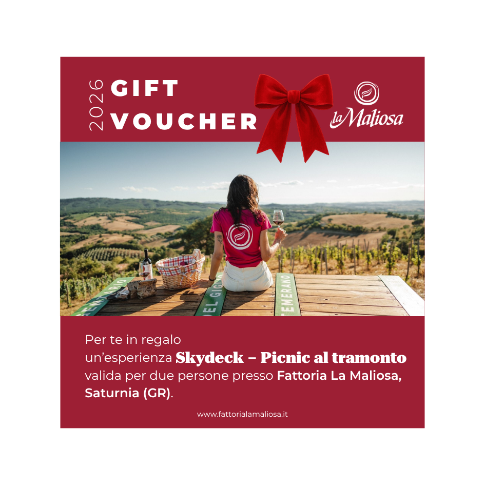 Voucher - Picnic sullo Skydeck al tramonto