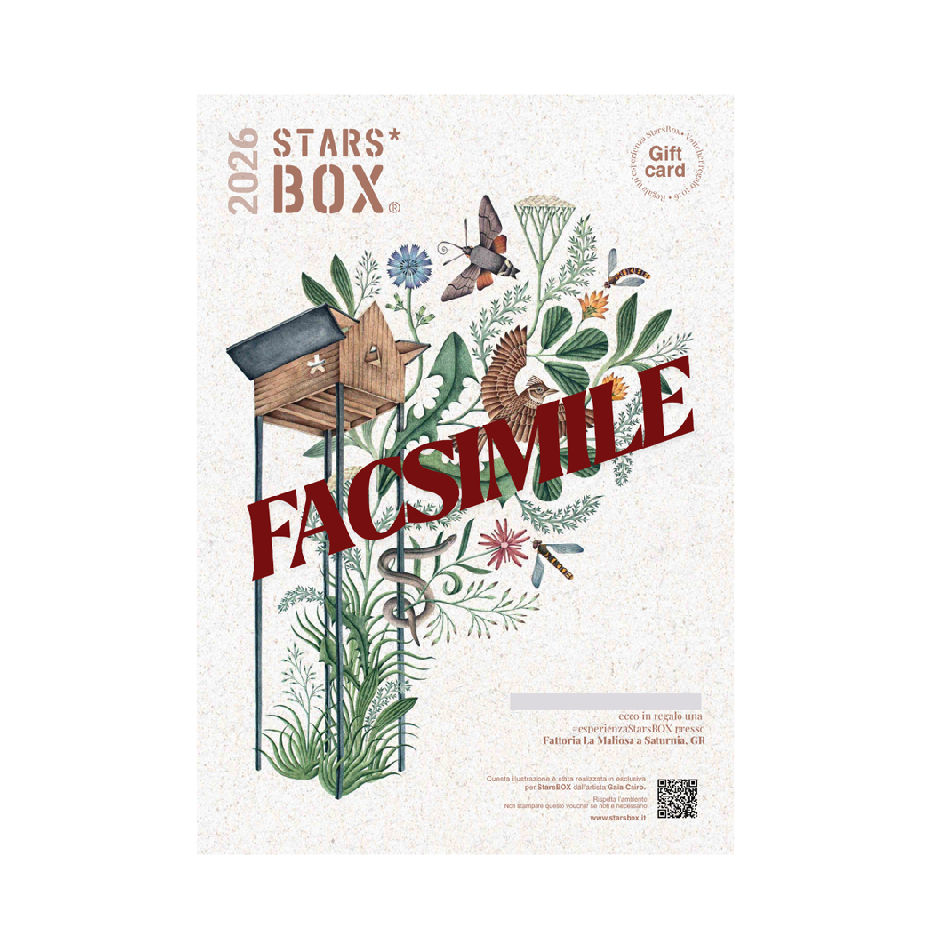 Voucher - Esperienza in StarsBOX