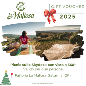 Voucher - Picnic sullo Skydeck al tramonto