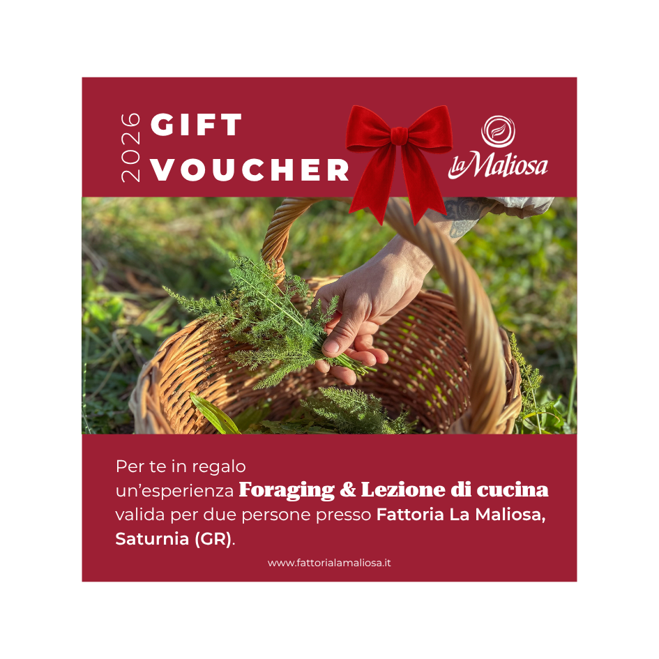Voucher - Foraging & Lezione di cucina