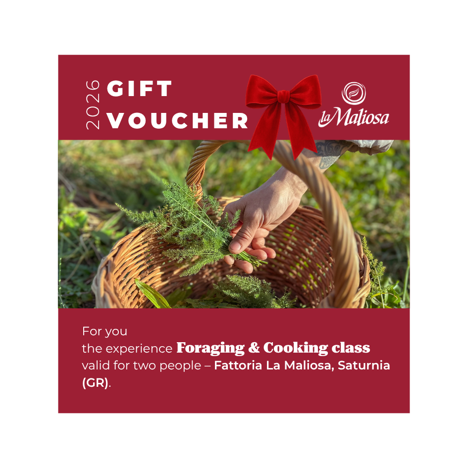 Voucher - Foraging & Cooking class